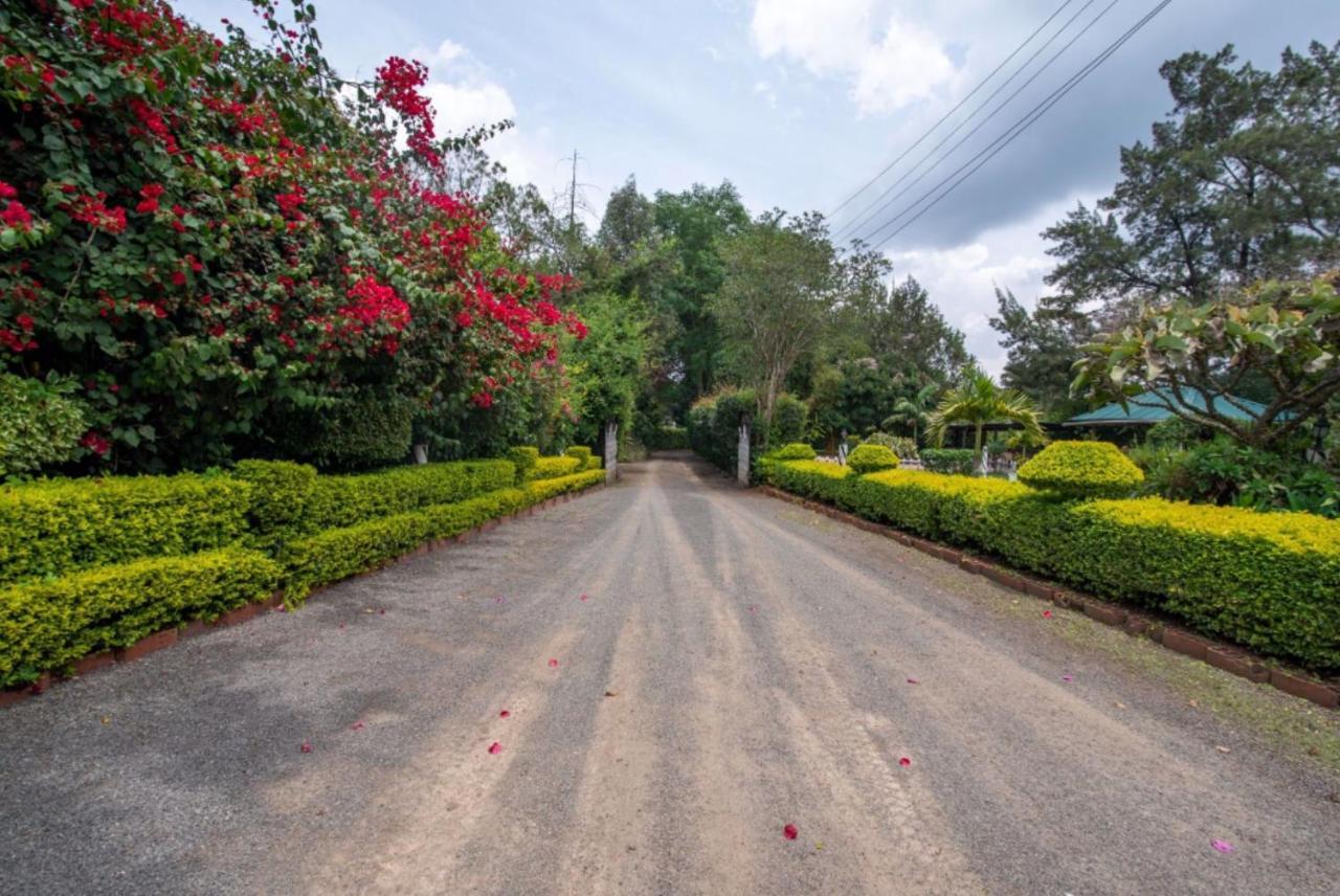 Hotel Troy Nairobi Kültér fotó